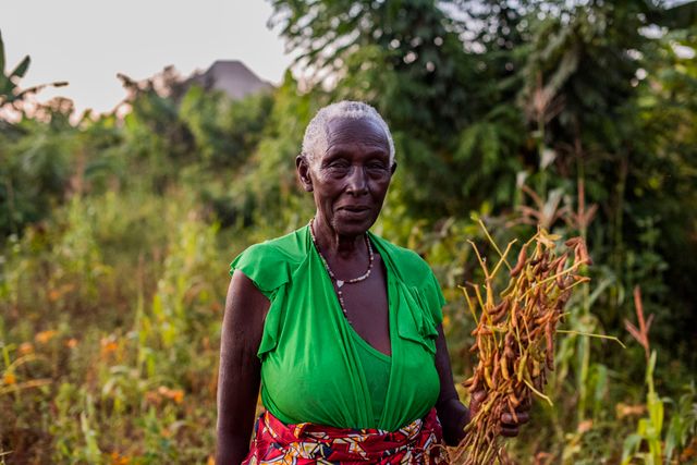 Elderly Farmer Holding Harvest in Rural Field